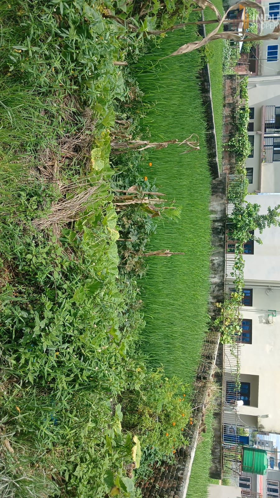 Picture of Mahalaxmi Municipality, Bagmati