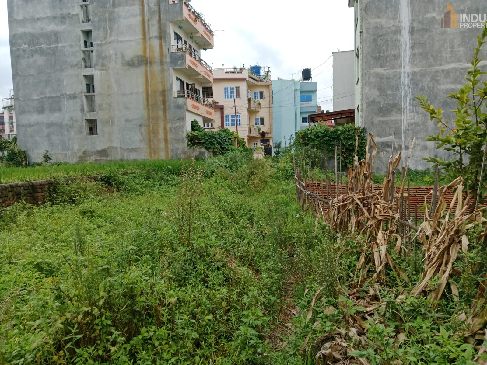 Picture of Mahalaxmi Municipality, Bagmati