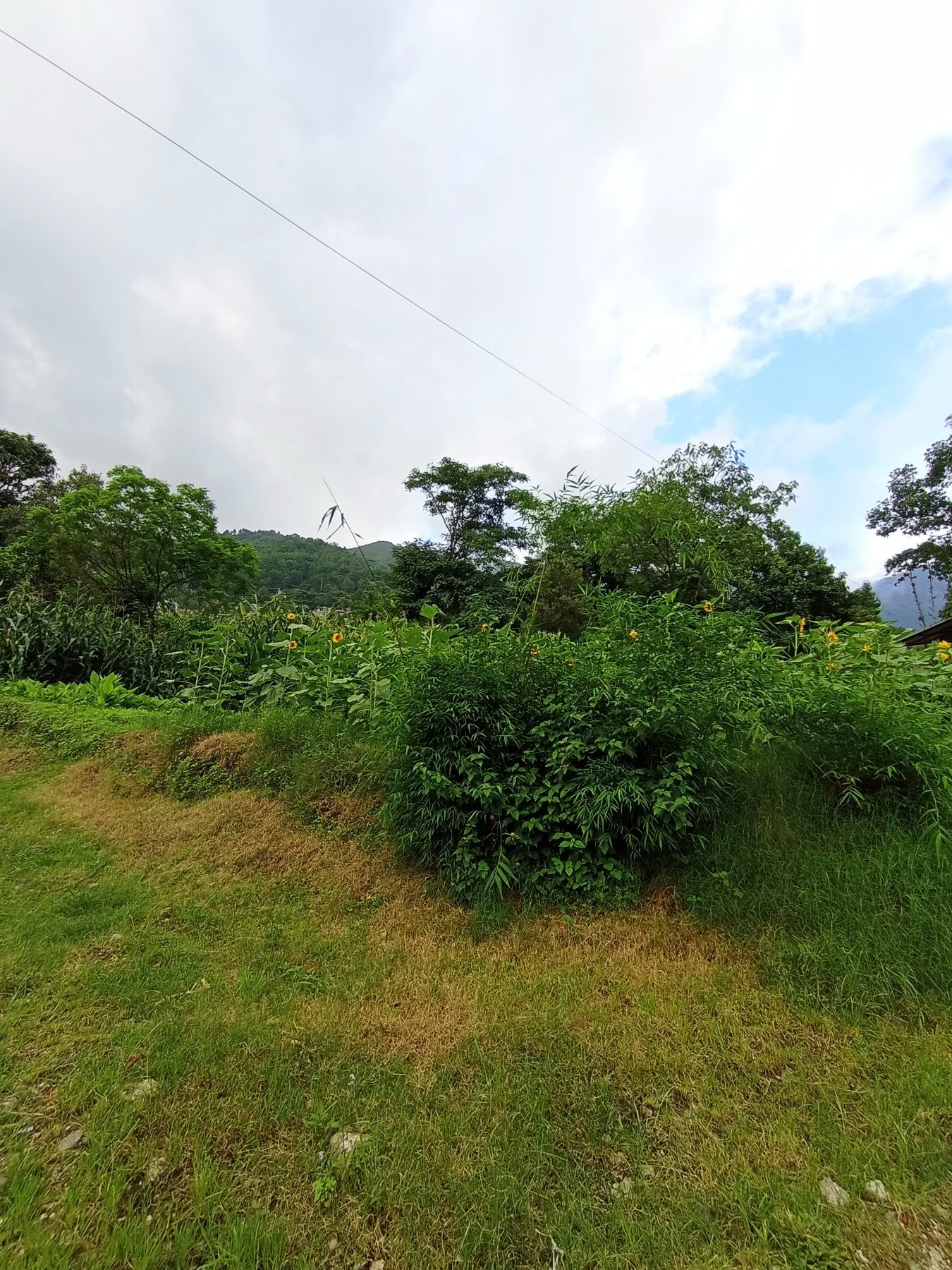 Picture of Budhanilkantha Municipality, Bagmati