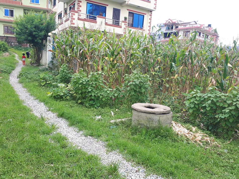 Picture of Chandragiri Municipality, Bagmati Province