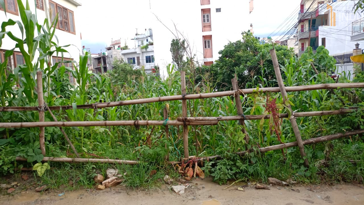 Picture of Madhyapur Thimi Municipality, Bagmati