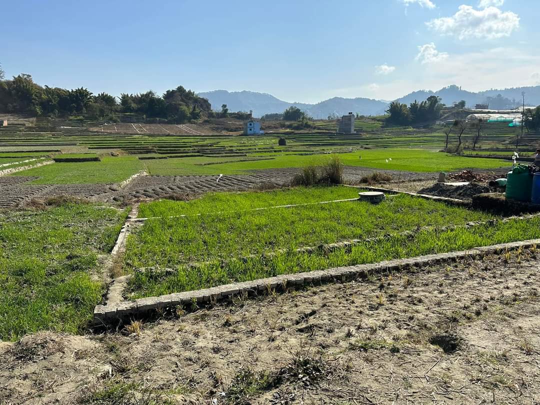 Picture of Changunarayan Municipality, Bagmati