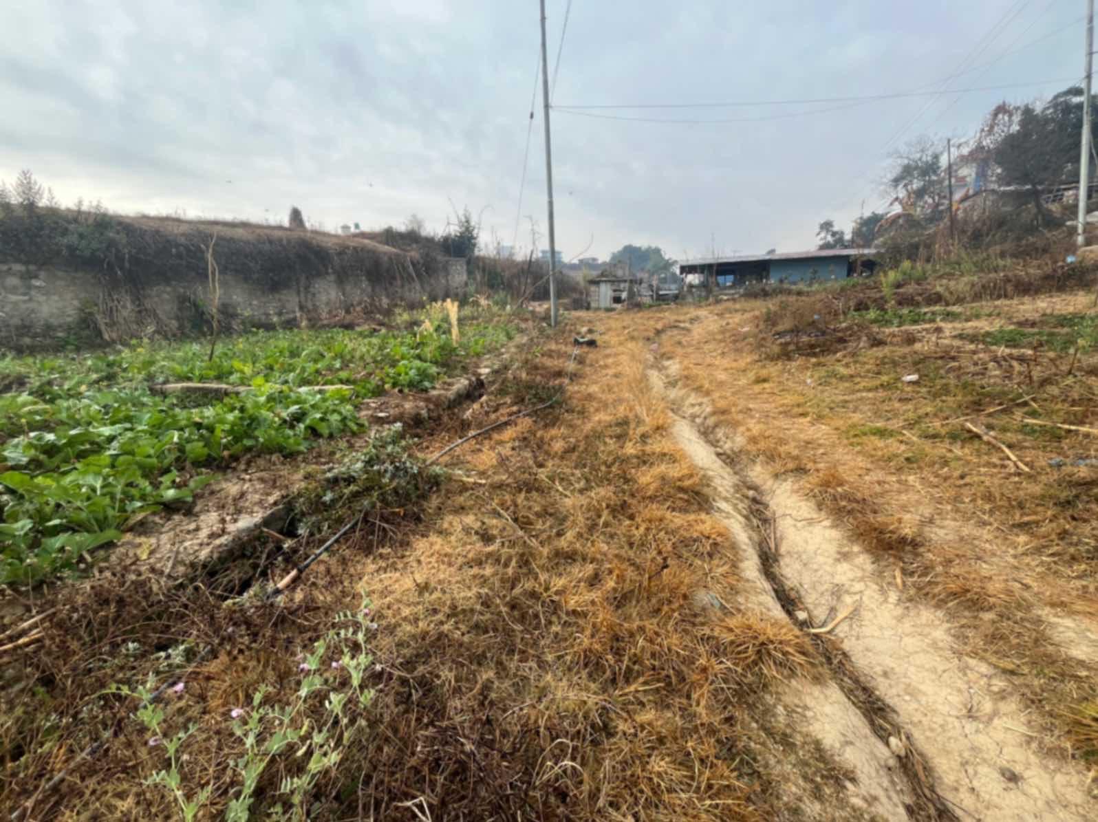 Picture of Godawari Municipality, Bagmati
