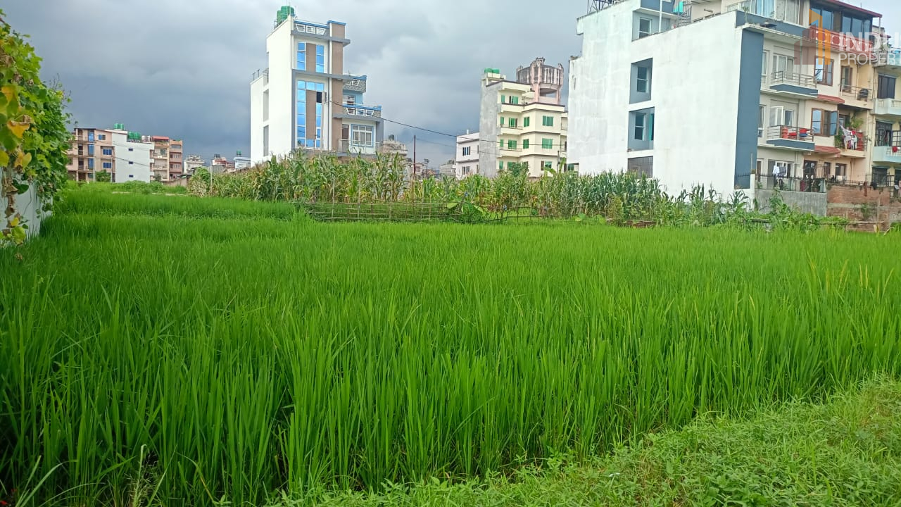 Picture of Madhyapur Thimi Municipality, Bagmati