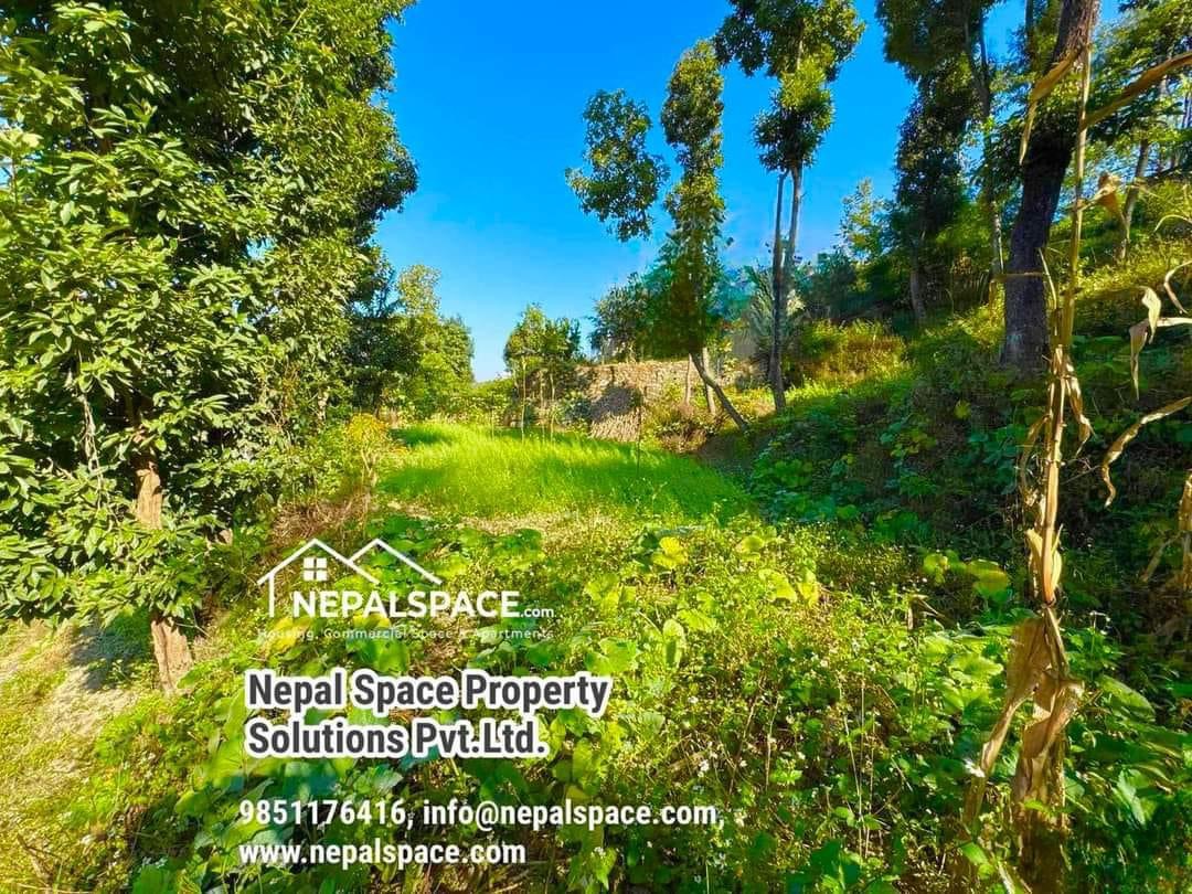 property-image