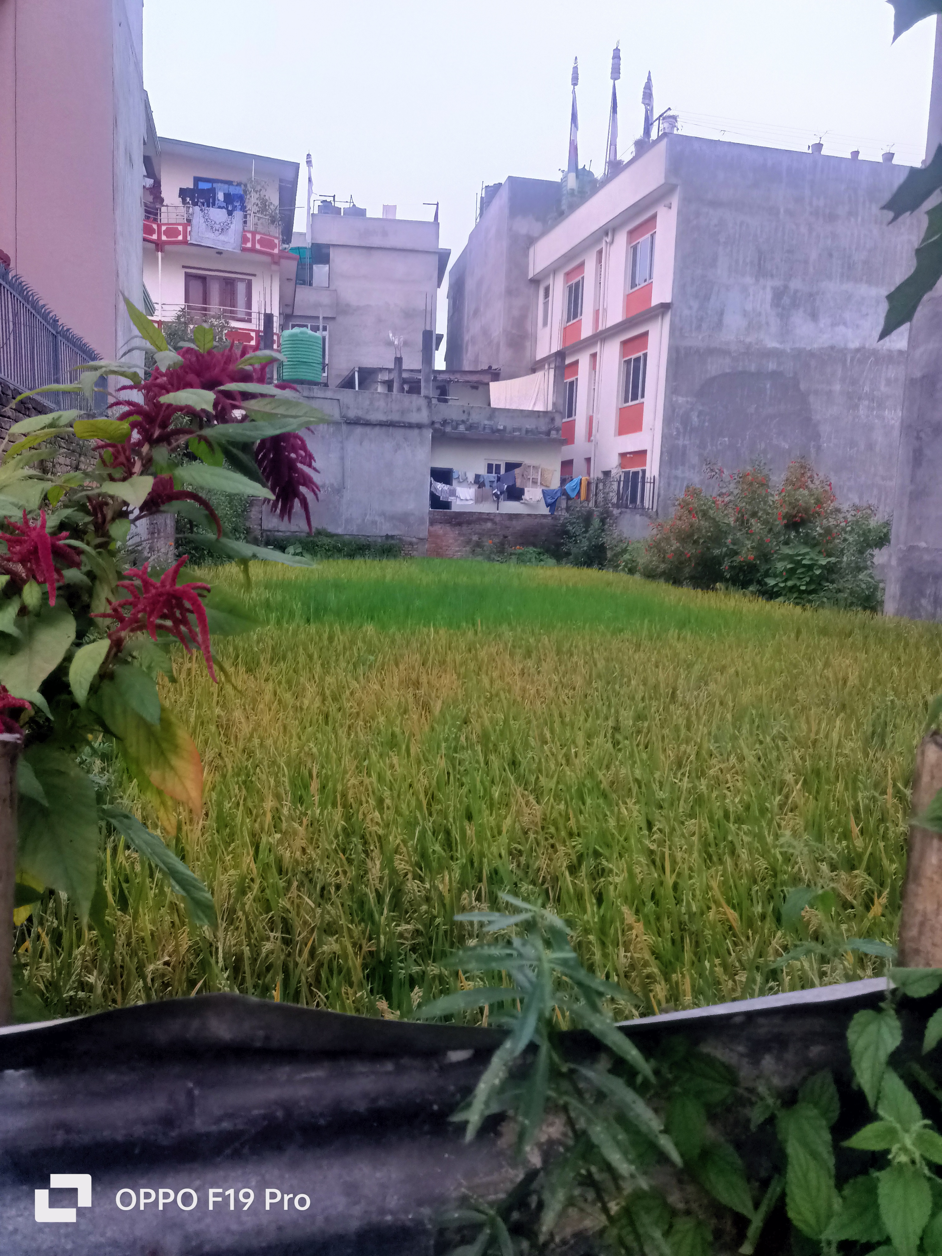 Picture of Changunarayan Municipality, Bagmati