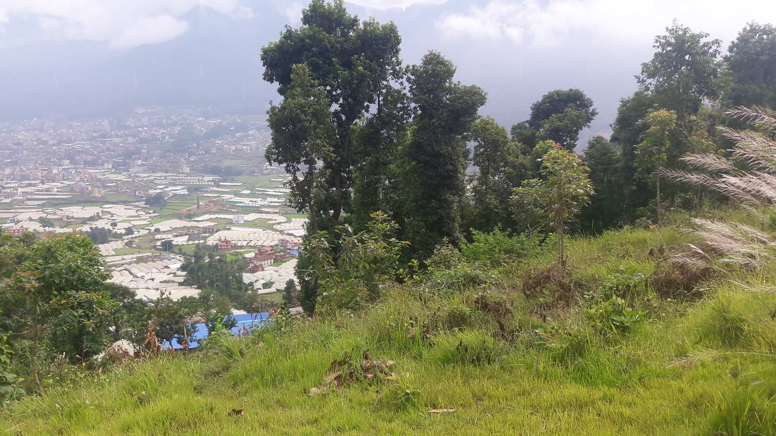 Picture of Chandragiri  Municipality, Bagmati Province
