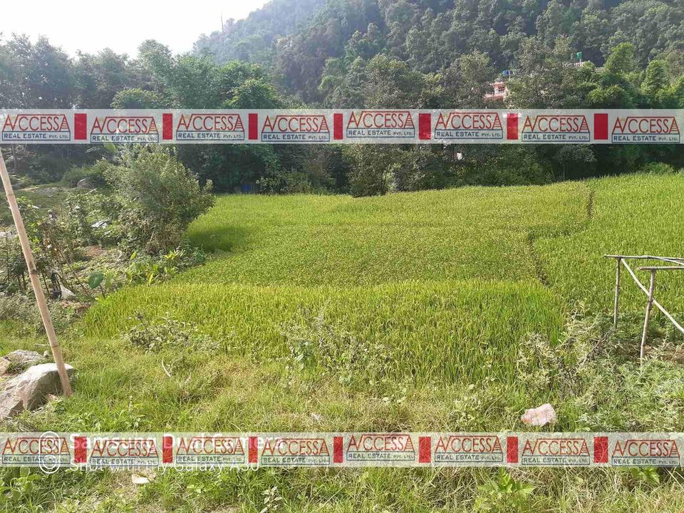 Picture of Suryabinayak Municipality, Bagmati Province