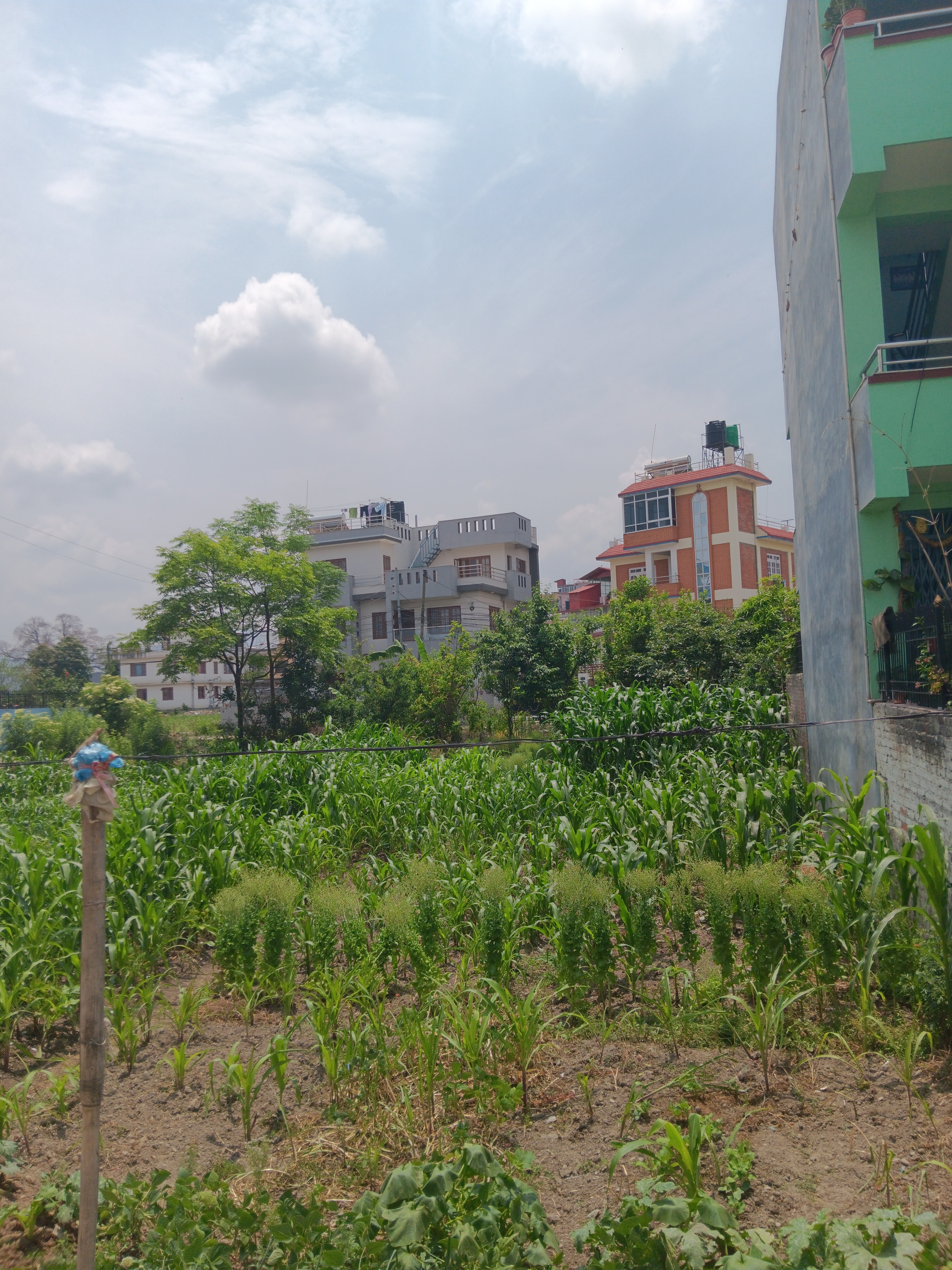 Picture of Lalitpur Metropolitan City, Bagmati