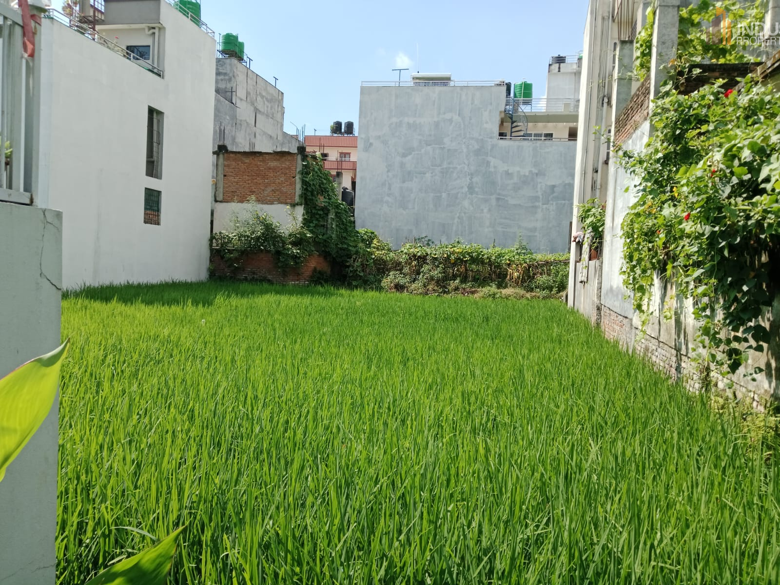 Picture of Mahalaxmi Municipality, Bagmati