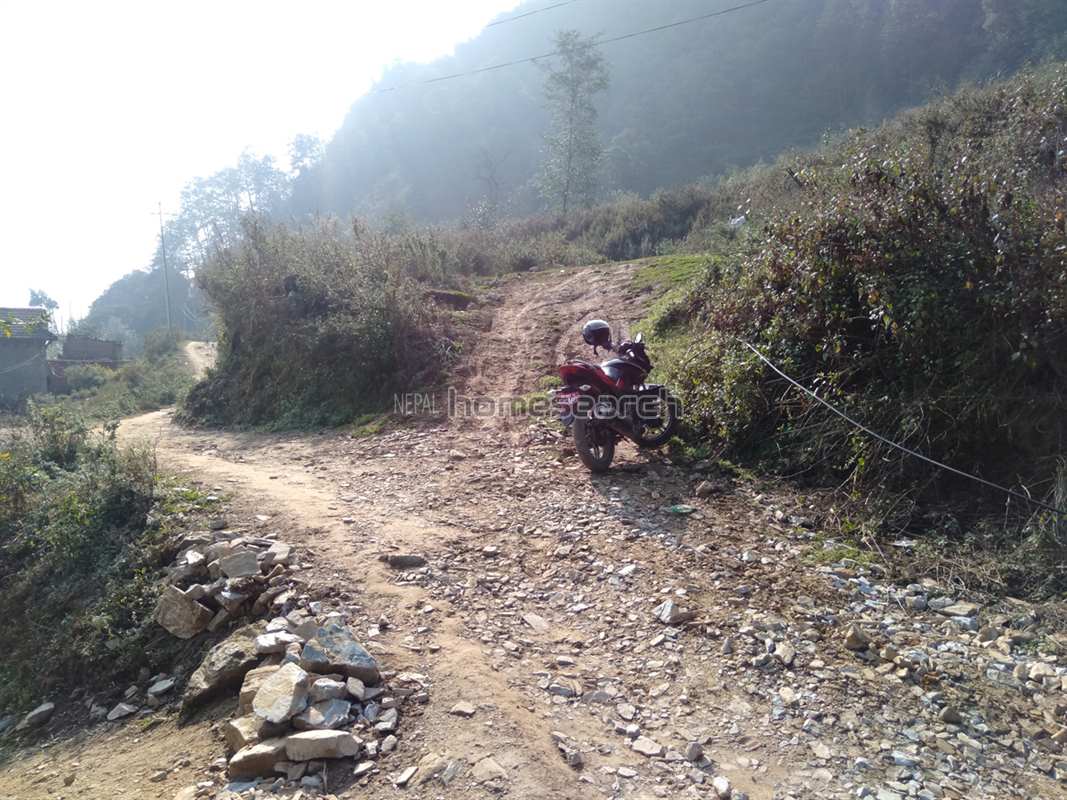 Picture of Kirtipur Municipality, Bagmati Province