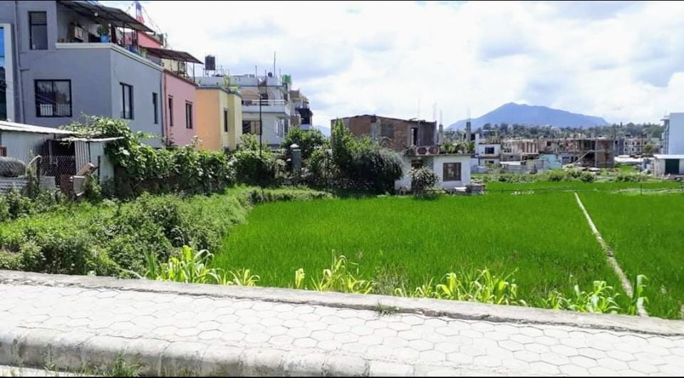 Picture of Budhanilkantha Municipality, Bagmati Province