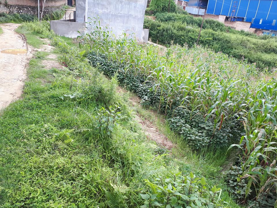 Picture of Chandragiri Municipality, Bagmati Province