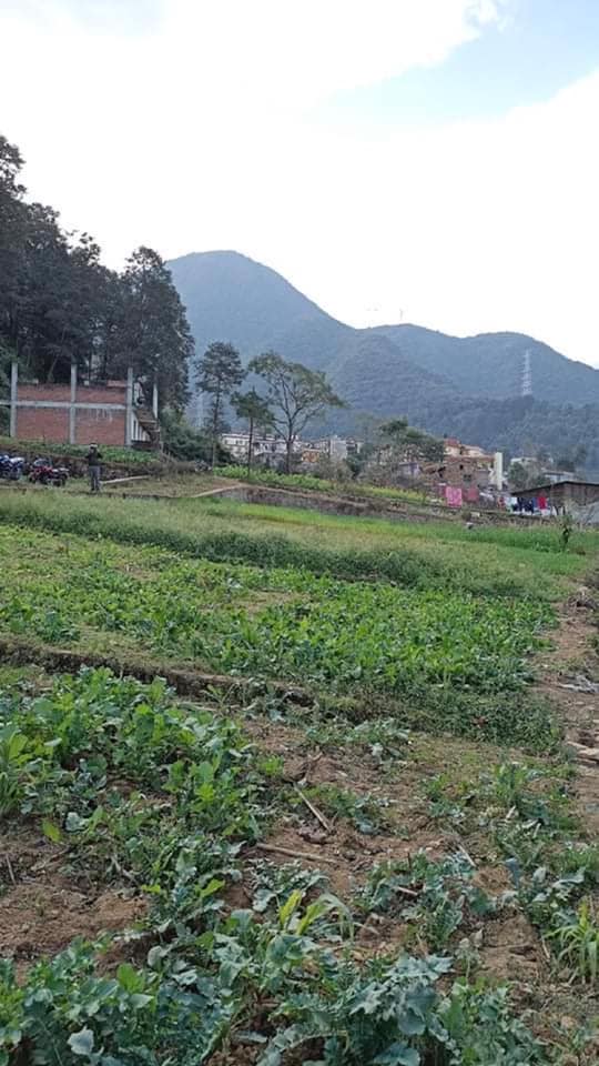Picture of Chandragiri  Municipality, Bagmati Province