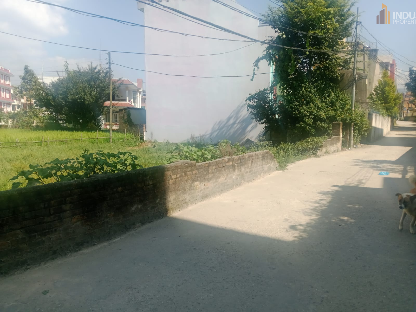 Picture of Mahalaxmi Municipality, Bagmati
