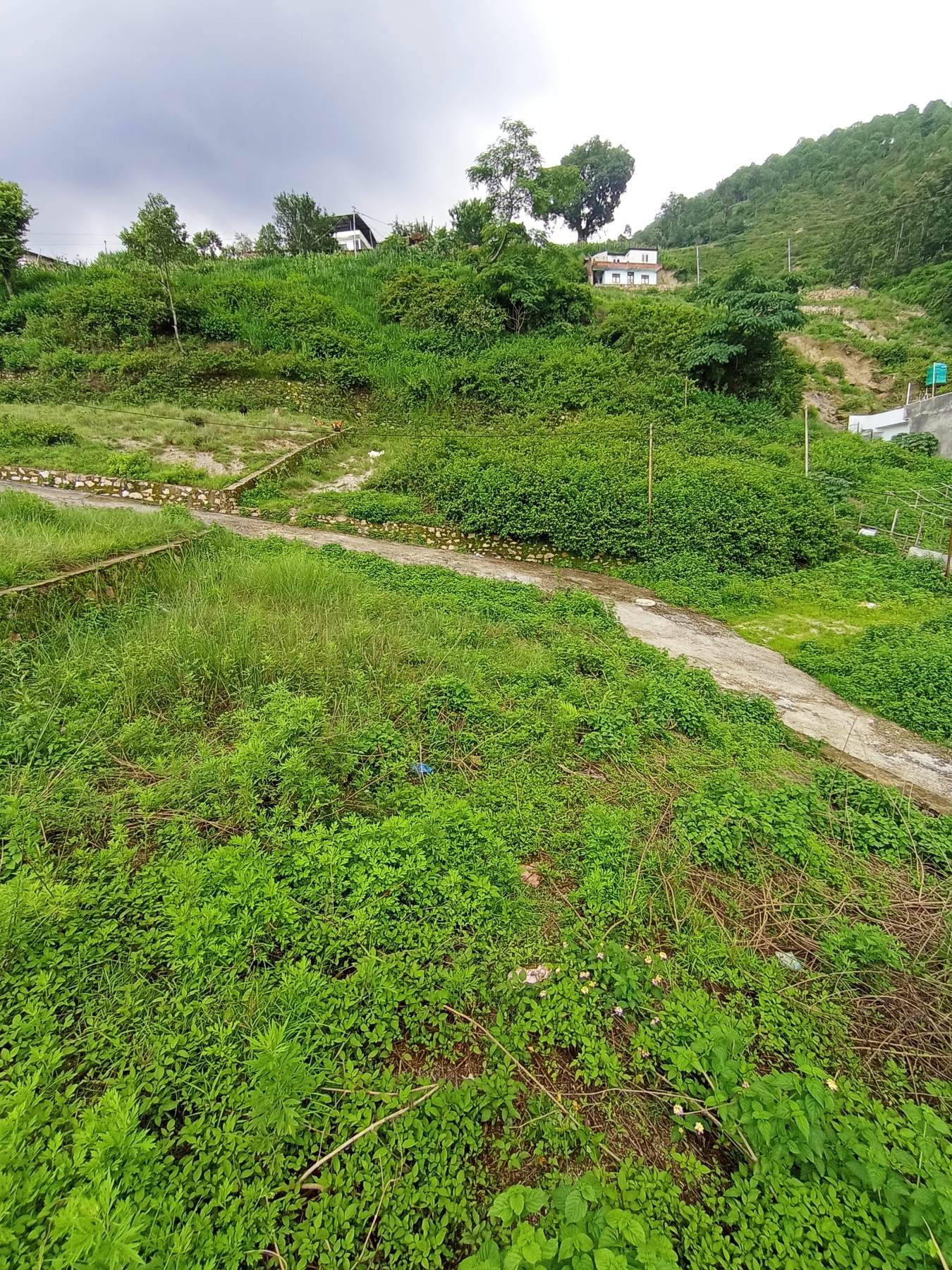 Picture of Budhanilkantha Municipality, Bagmati