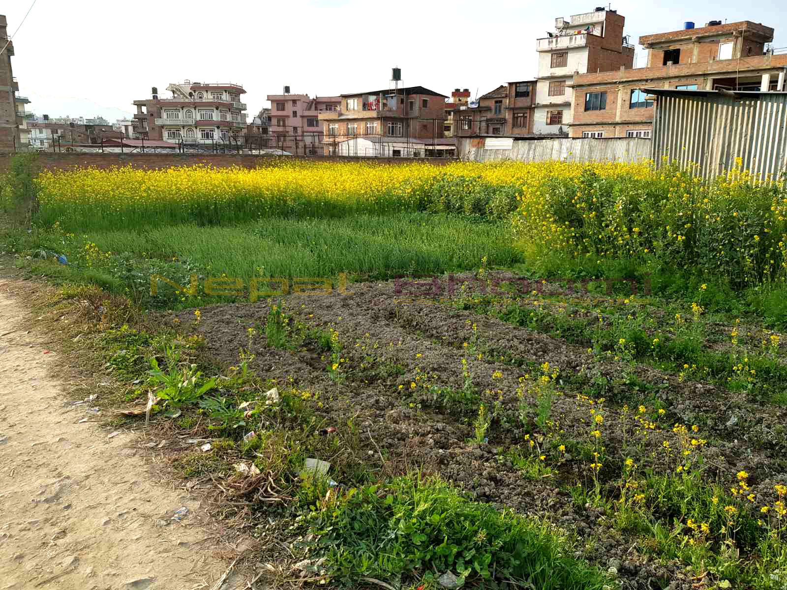 Picture of Lalitpur Metropolitan City, Bagmati Province