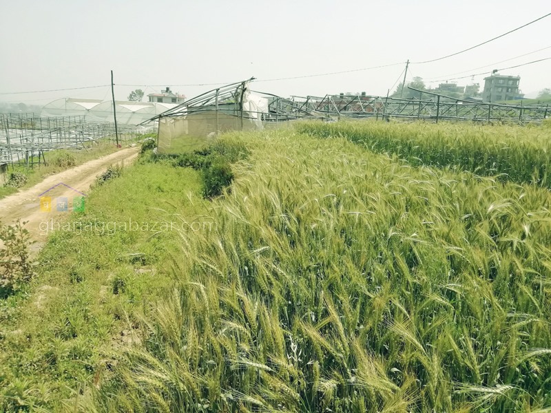 Picture of Godawari Municipality, Bagmati Province