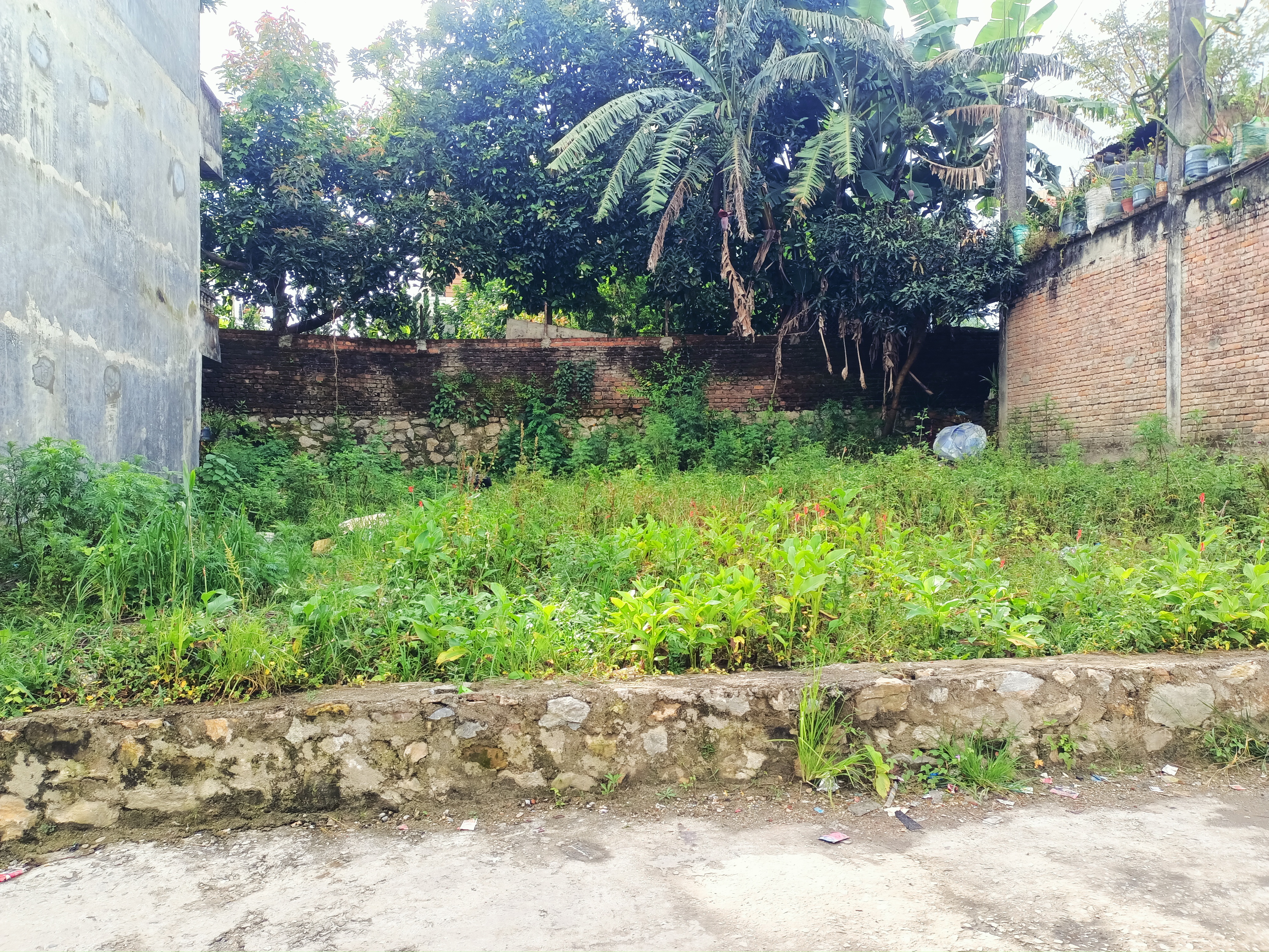 property-image