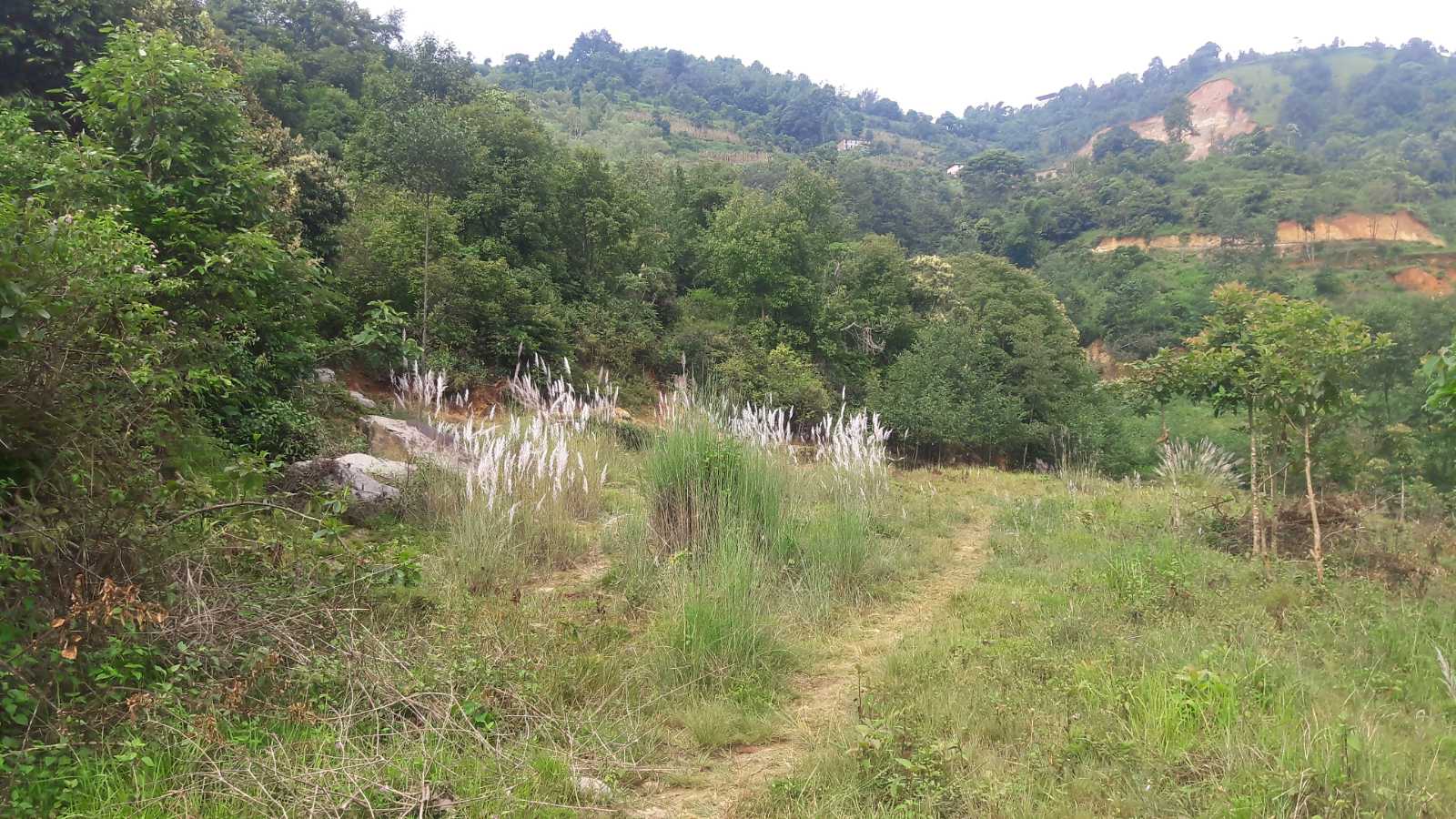 Picture of Chandragiri  Municipality, Bagmati Province
