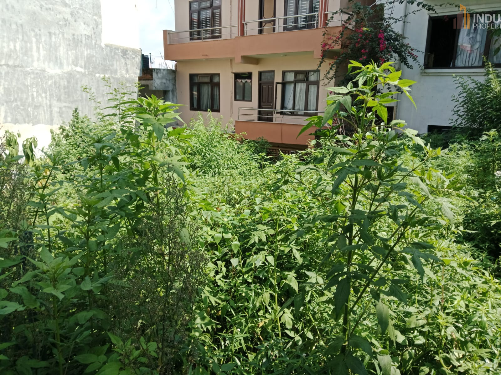Picture of Mahalaxmi Municipality, Bagmati