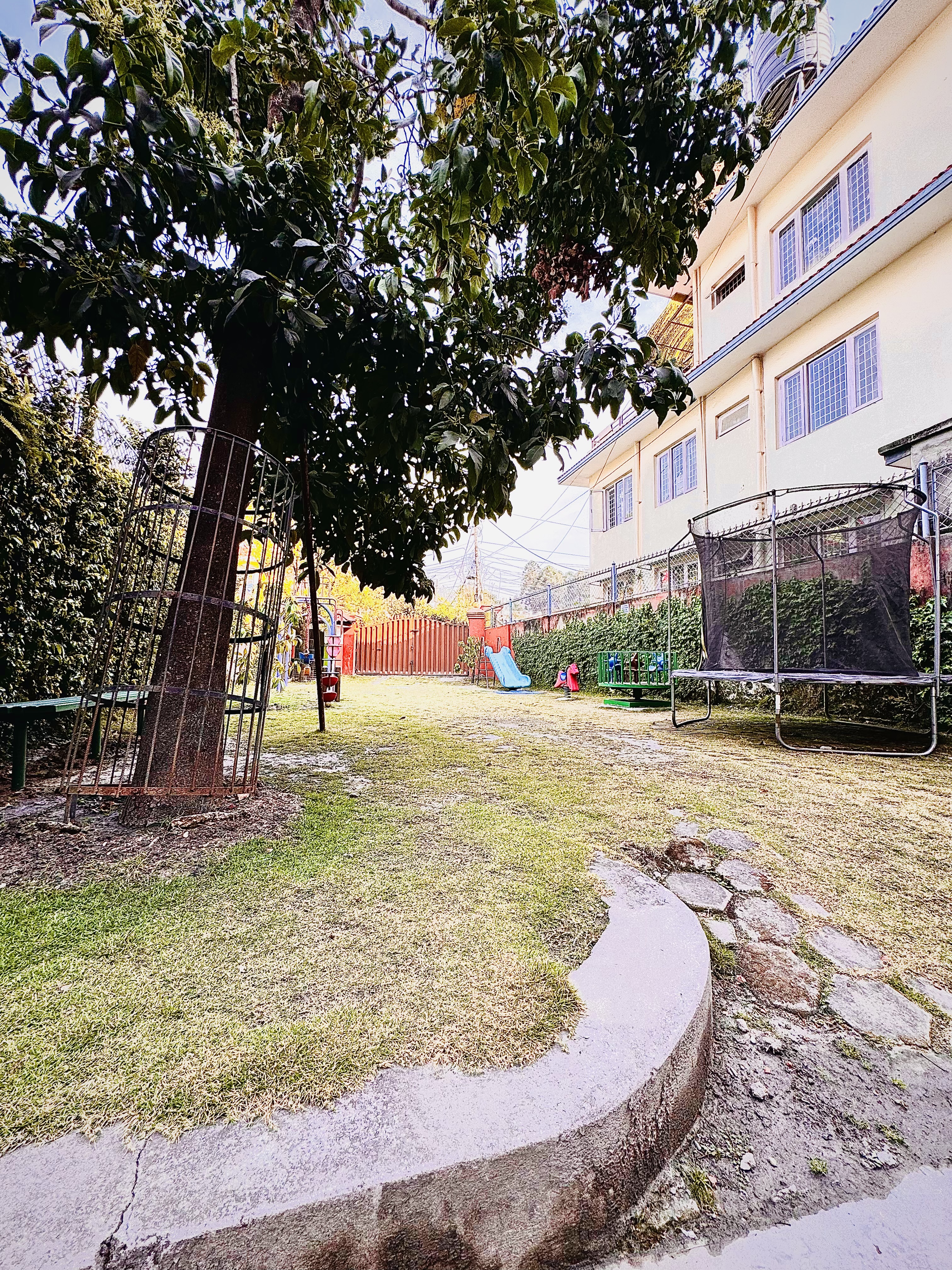 Garden