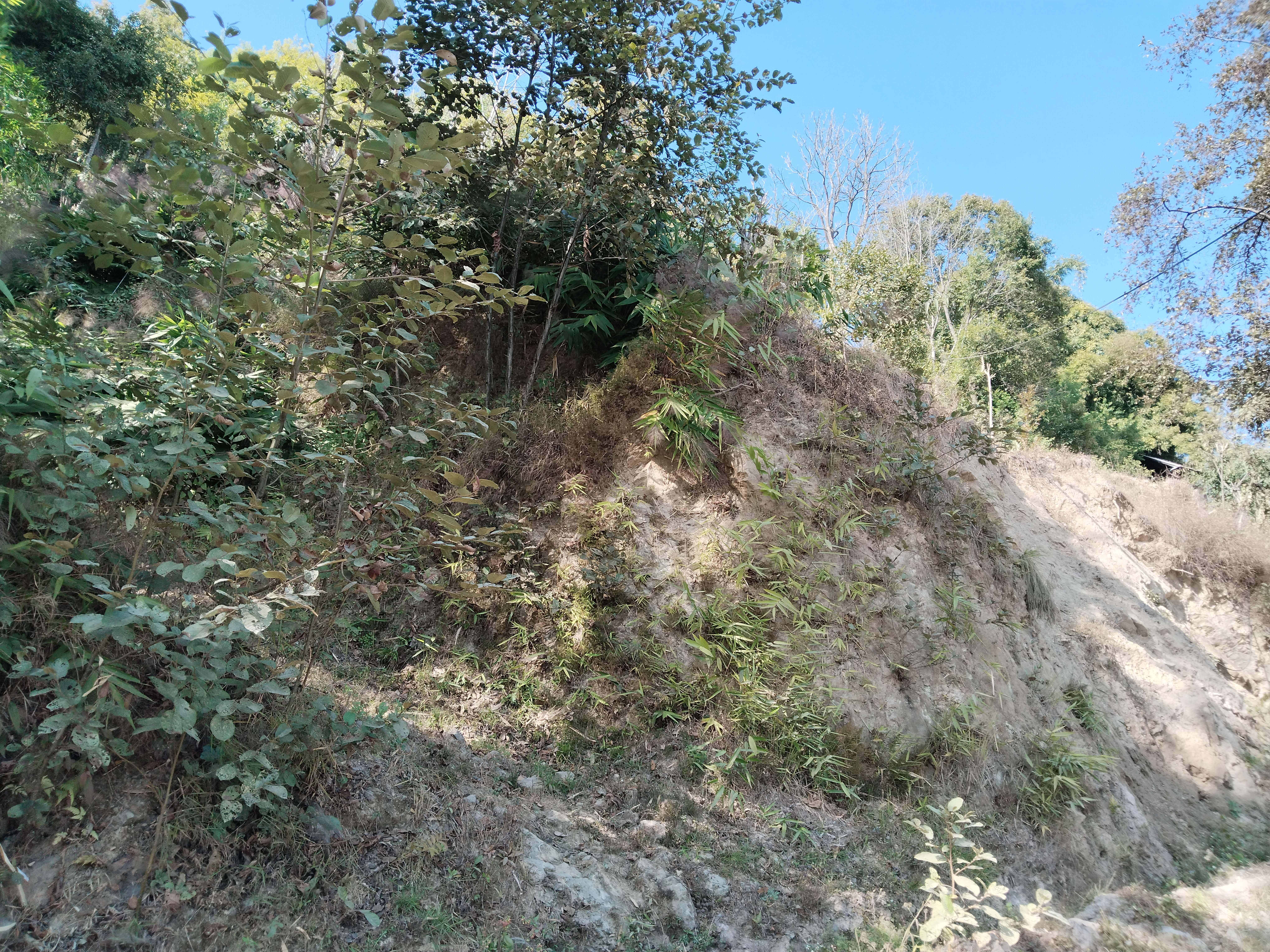 Picture of Dhulikhel Municipality, Bagmati