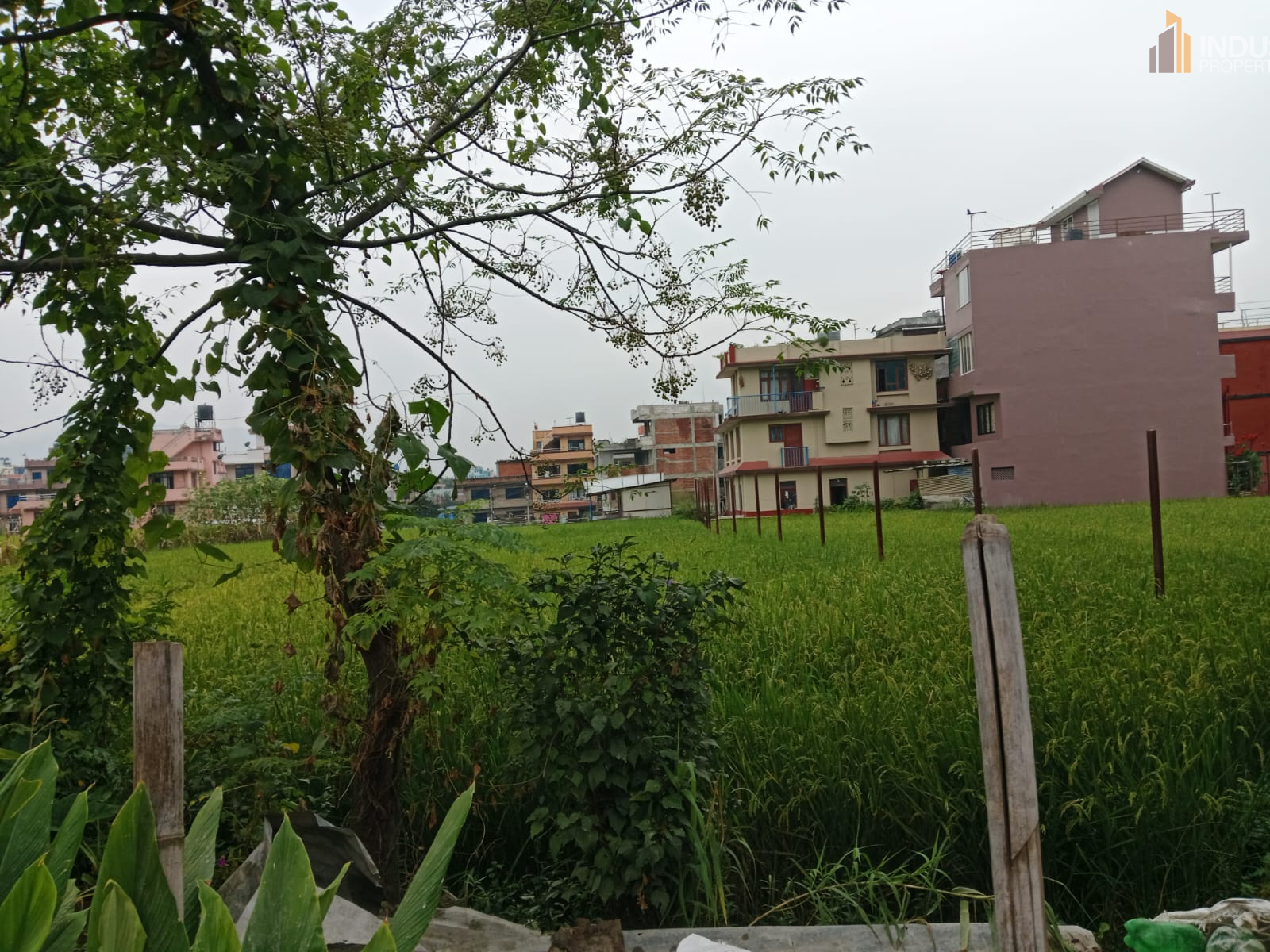 Picture of Mahalaxmi Municipality, Bagmati