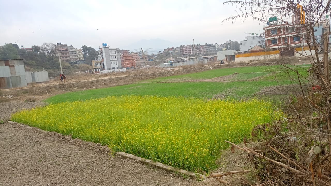 Picture of Madhyapur Thimi Municipality, Bagmati