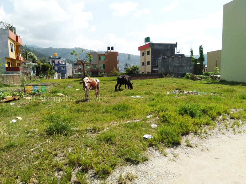 Picture of Budhanilkantha Municipality, Bagmati Province