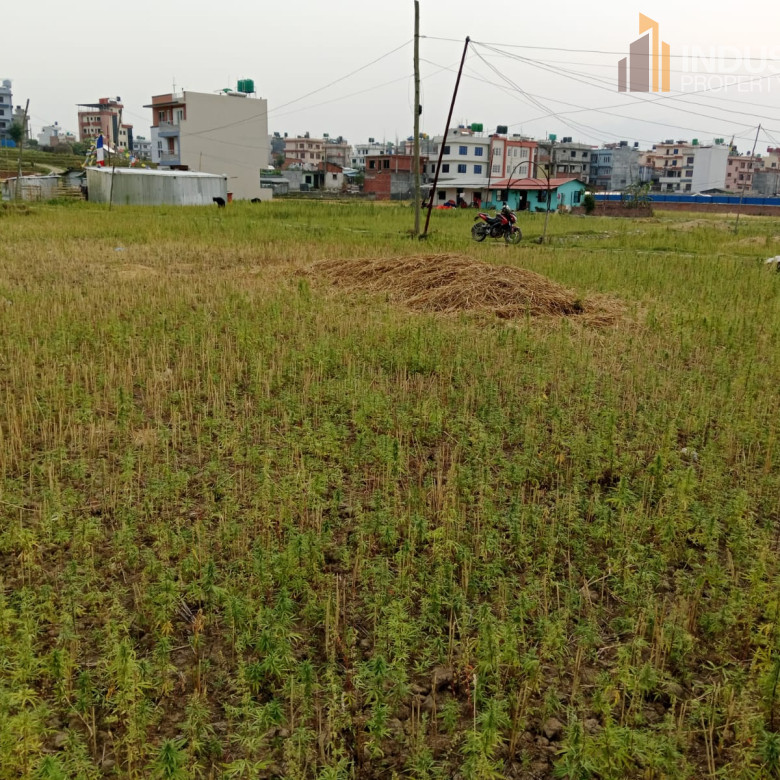 Picture of Mahalaxmi Municipality, Bagmati