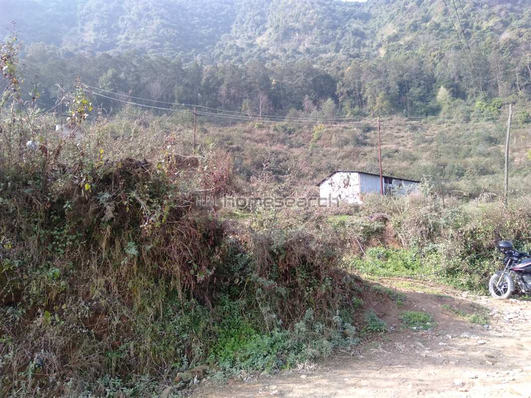 Picture of Kirtipur Municipality, Bagmati Province
