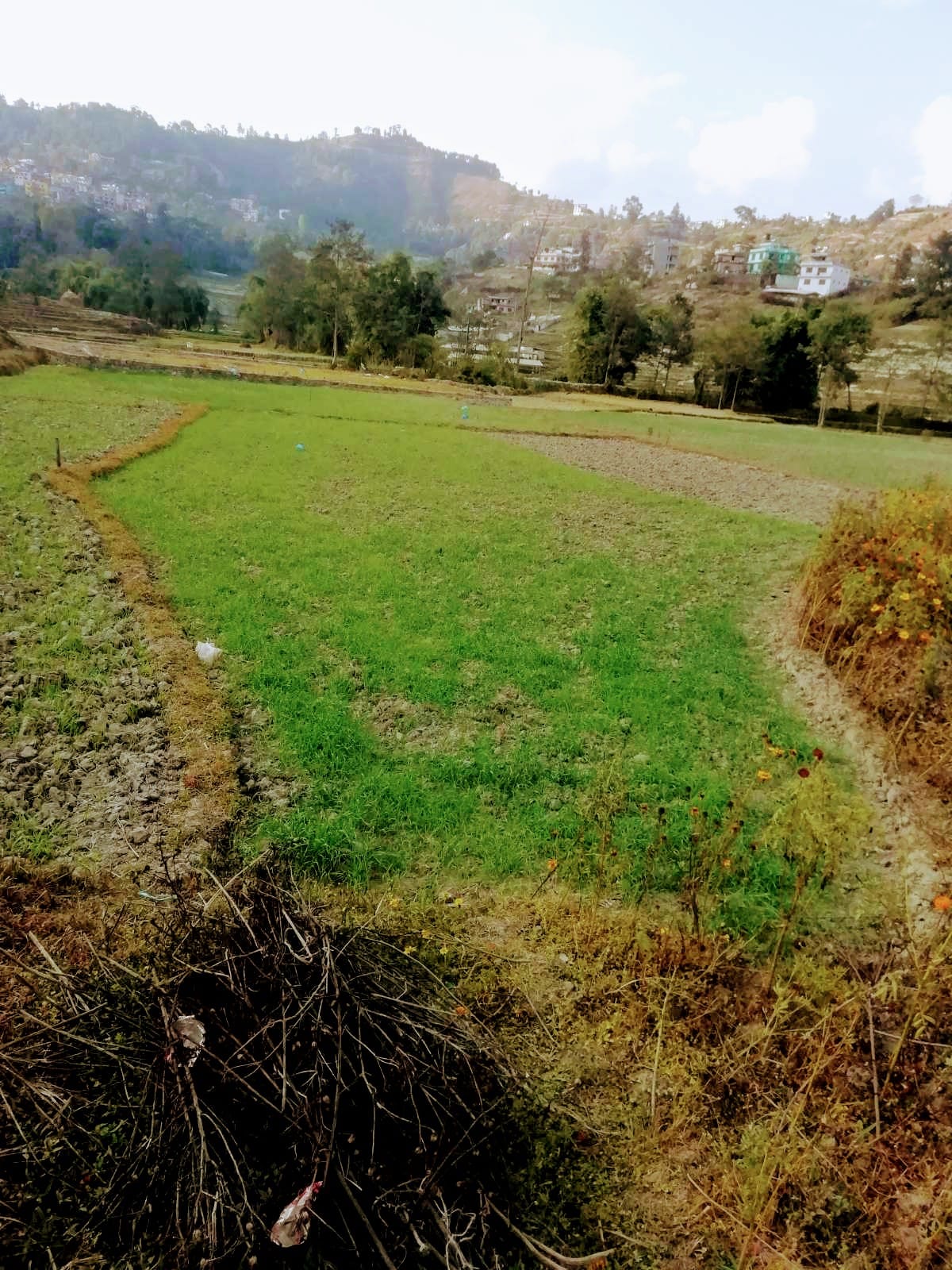 Picture of Tarkeshwor  Municipality, Bagmati Province