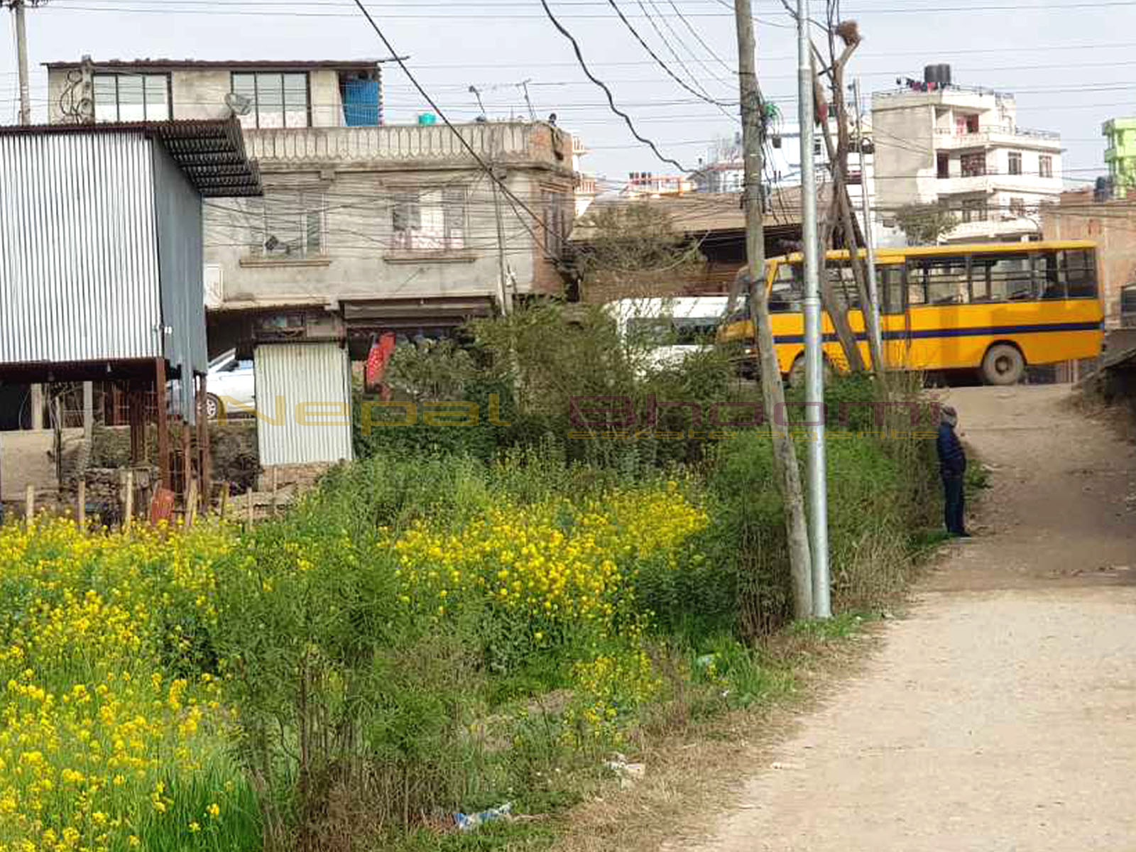 Picture of Lalitpur Metropolitan City, Bagmati Province
