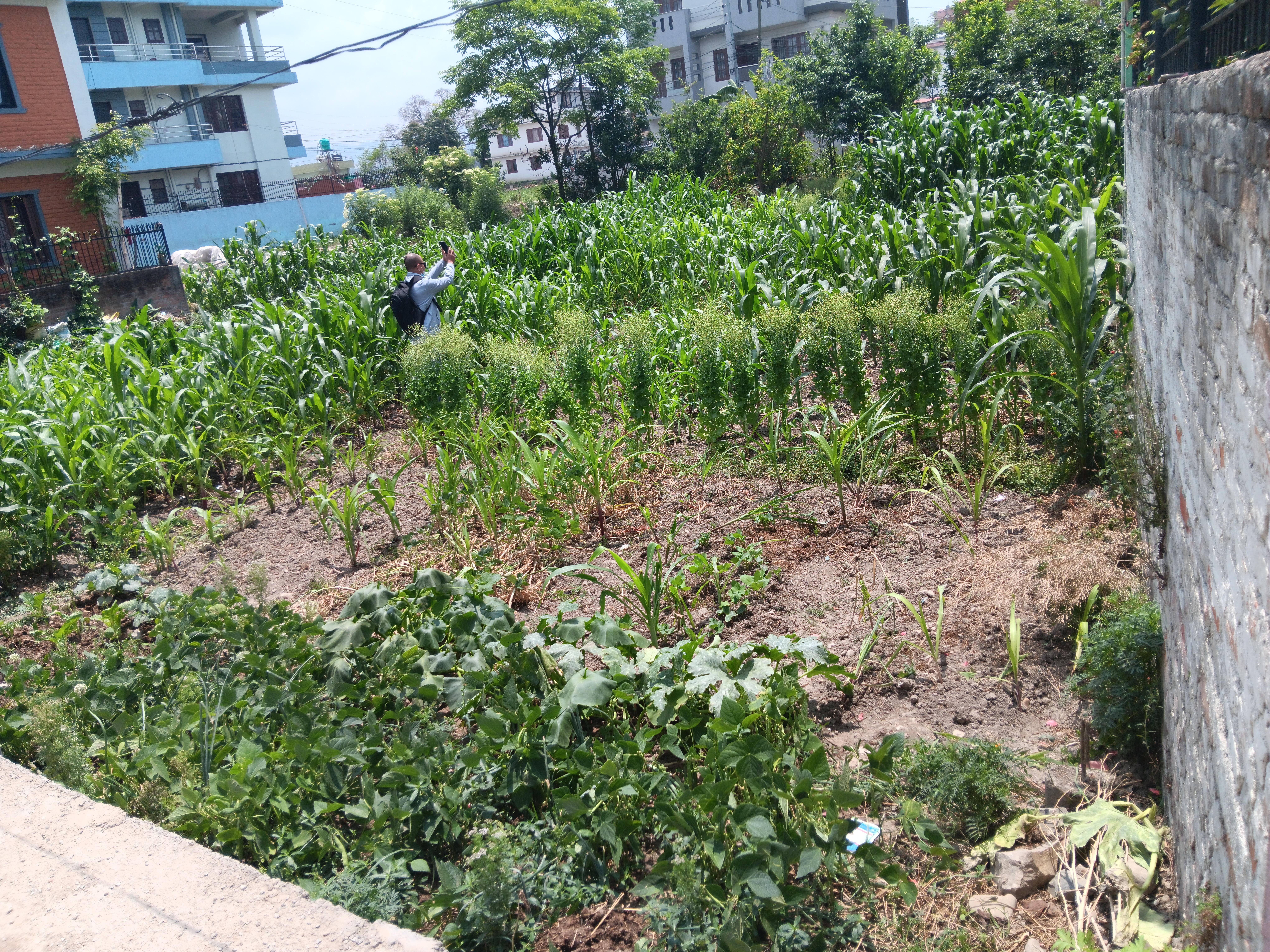 Picture of Lalitpur Metropolitan City, Bagmati