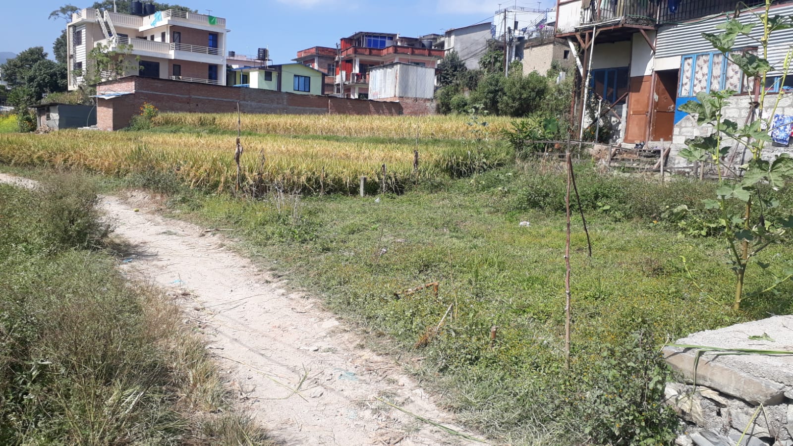 Picture of Kirtipur Municipality, Bagmati