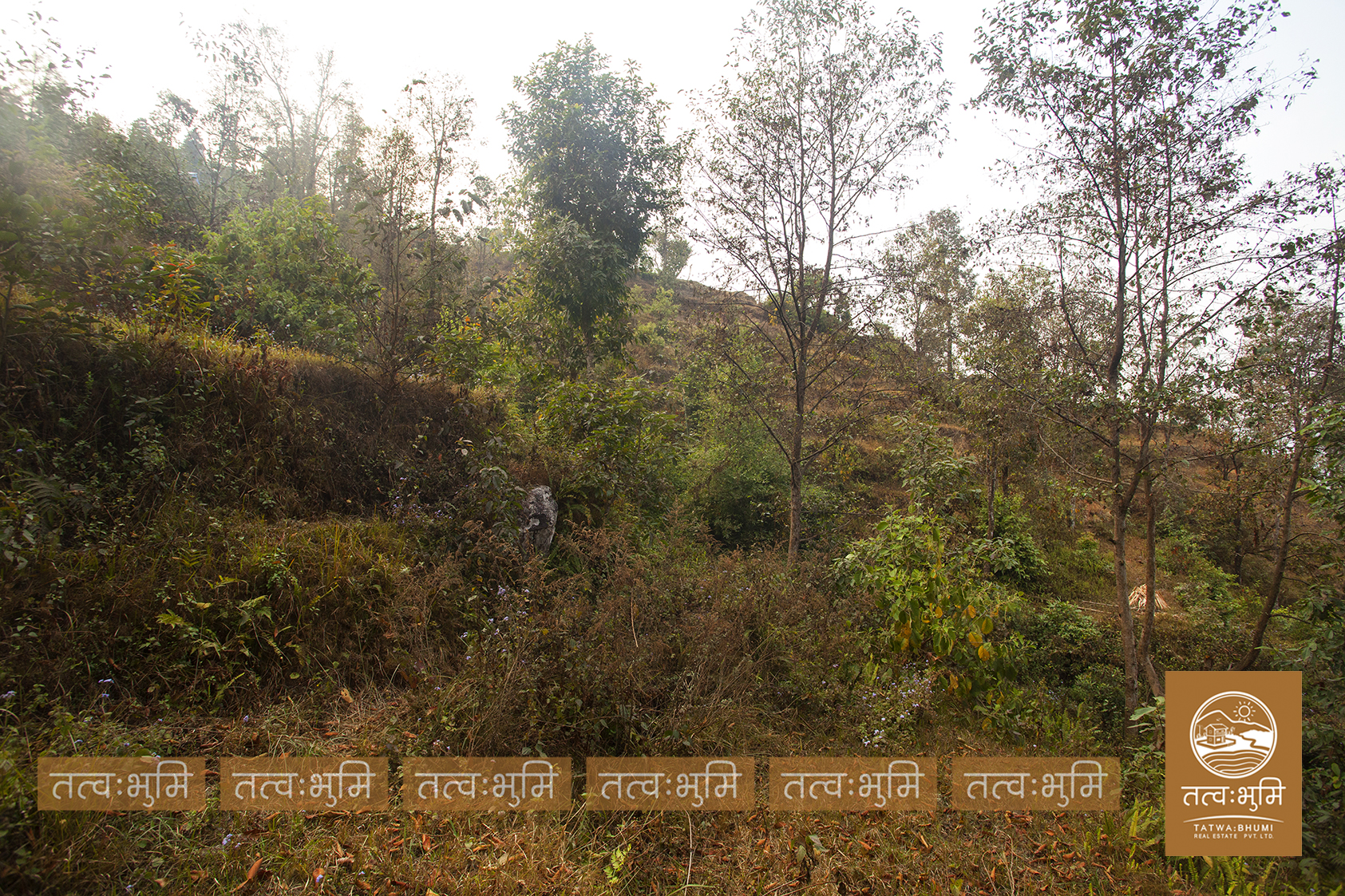 Picture of Shivapuri Rural Municipality, Bagmati