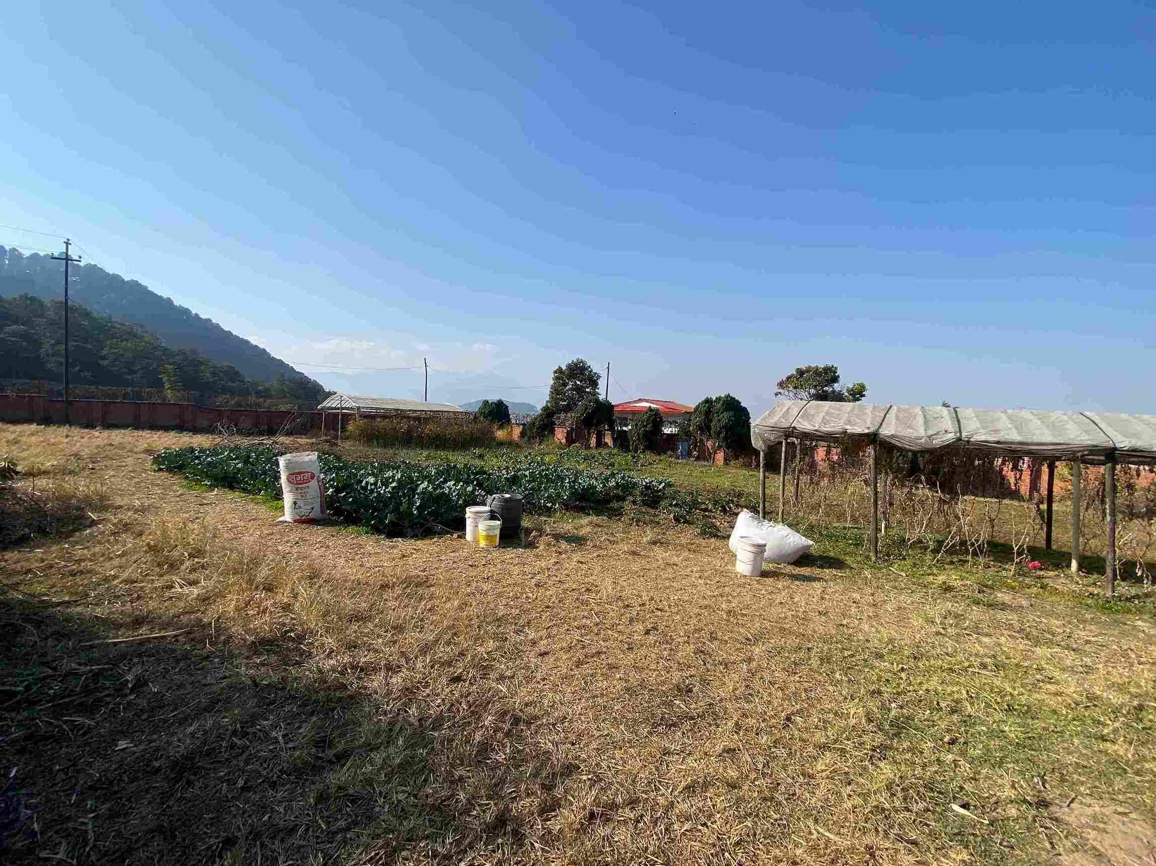 Picture of Godawari Municipality, Bagmati