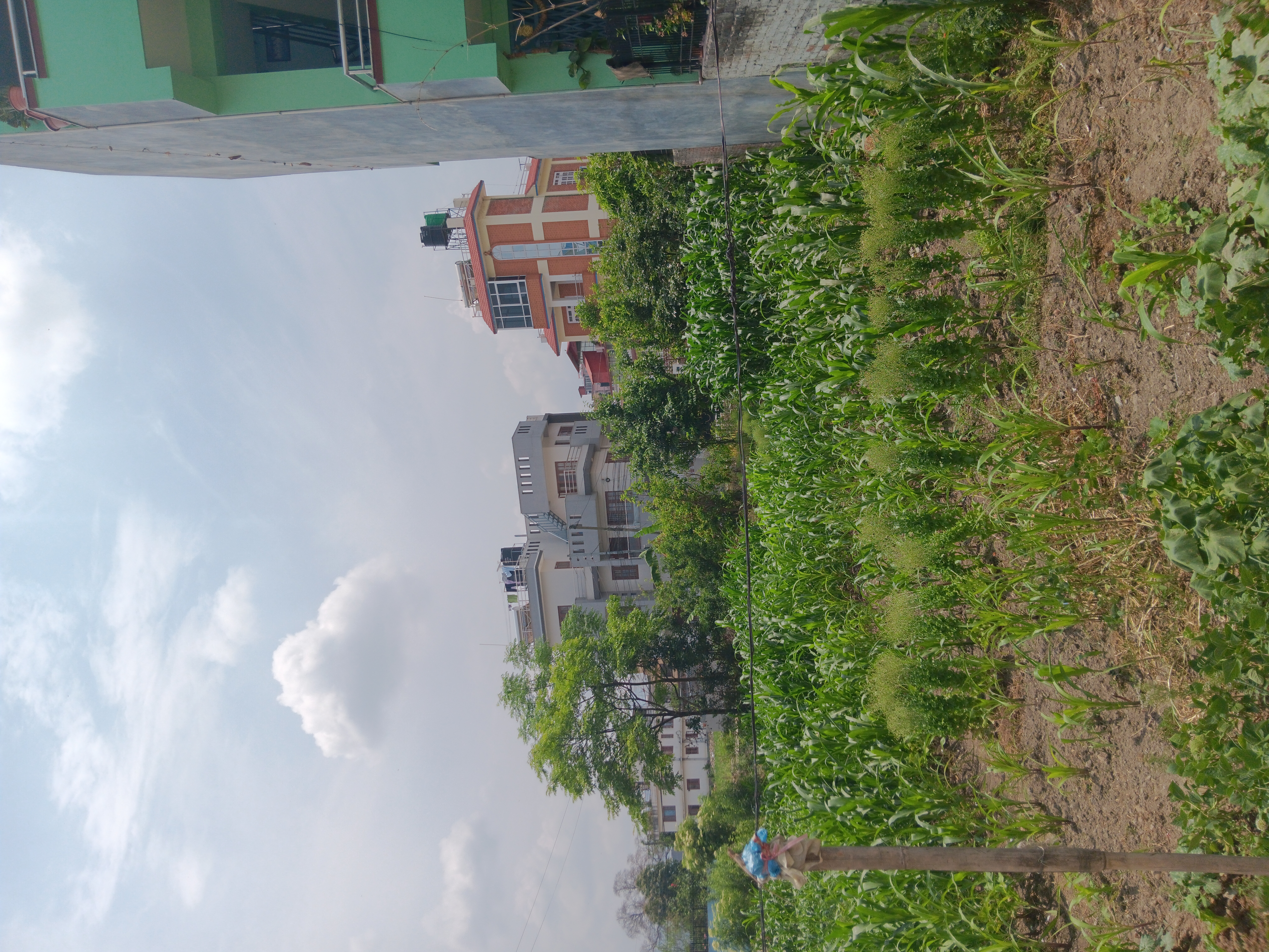 Picture of Lalitpur Metropolitan City, Bagmati