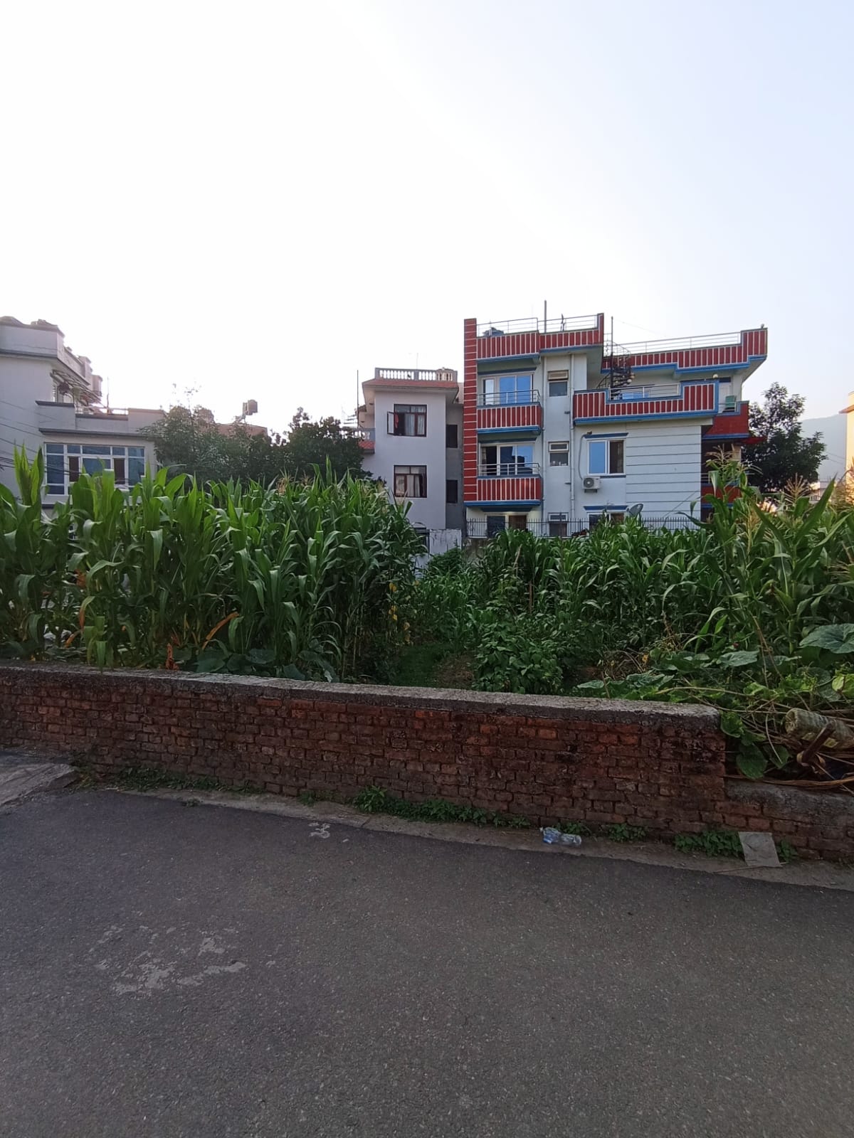 Picture of Budhanilkantha Municipality, Bagmati