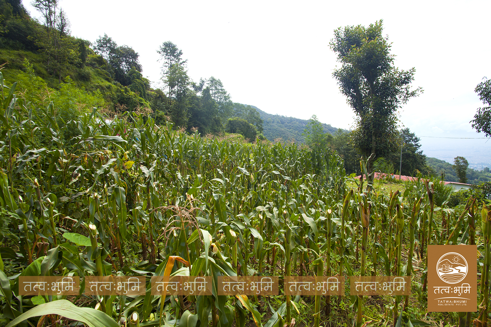 Picture of Kakani Rural Municipality, Bagmati