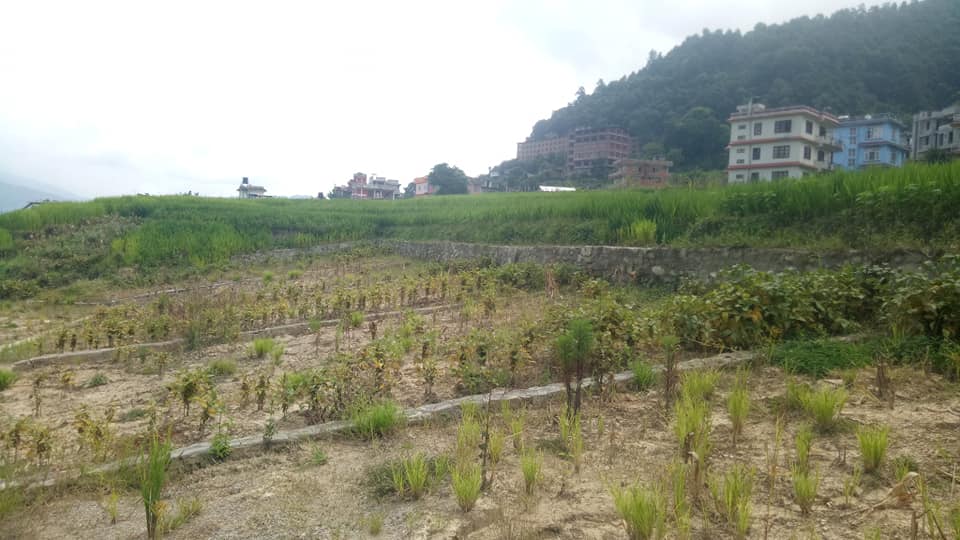 Picture of Suryabinayak Municipality, Bagmati Province