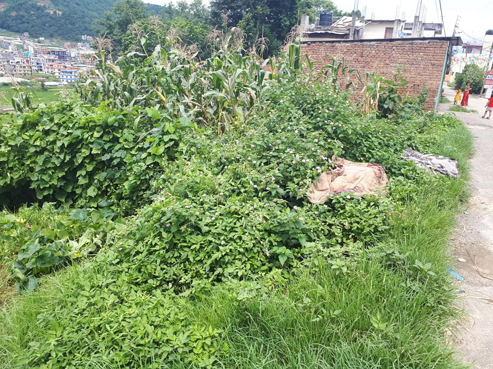 Picture of Chandragiri Municipality, Bagmati Province