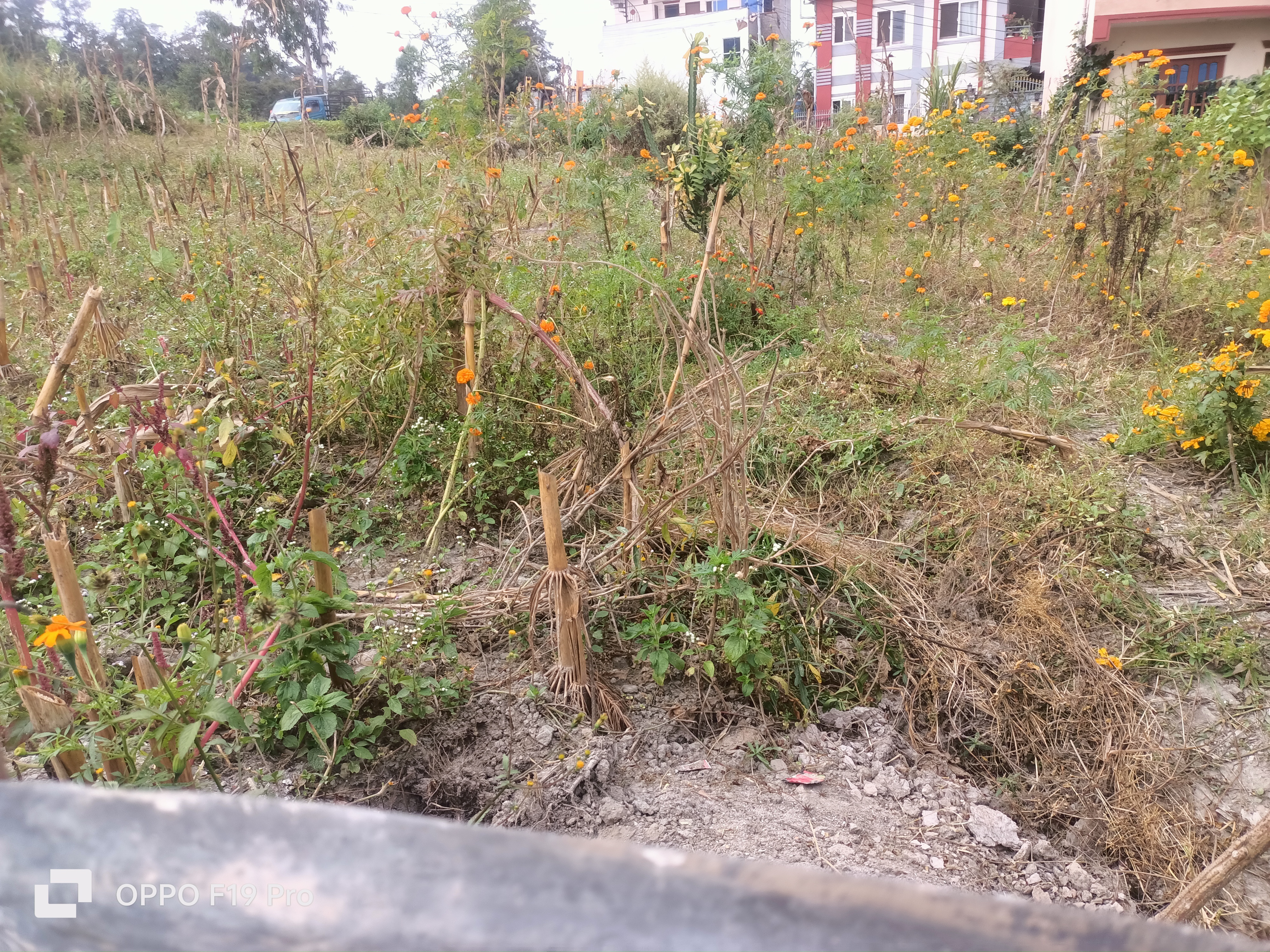 Picture of Kageshwari Manohara Municipality, Bagmati