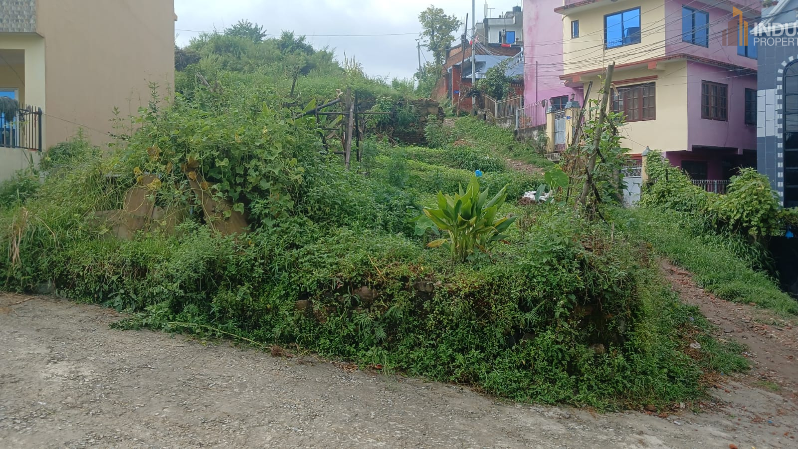 Picture of Lalitpur Metropolitan City, Bagmati