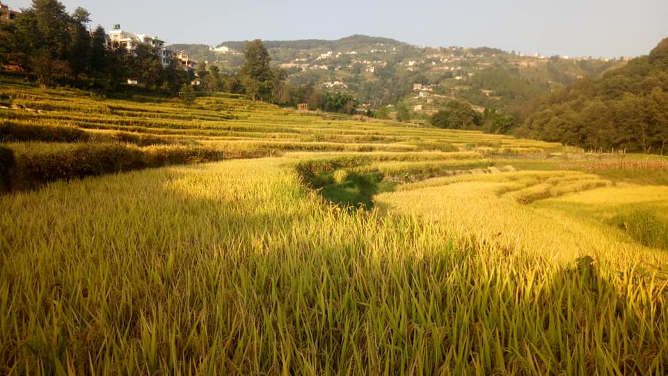 Picture of Changunarayan Municipality, Bagmati Province