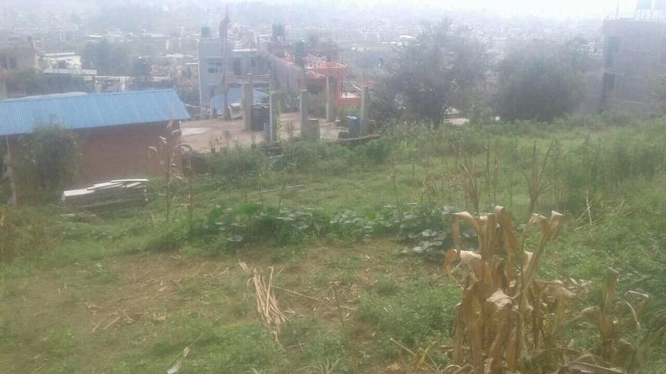 Picture of Tarkeshwor Municipality, Bagmati Province