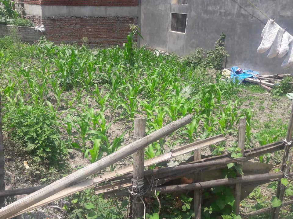 Picture of Tarkeshwor  Municipality, Bagmati Province