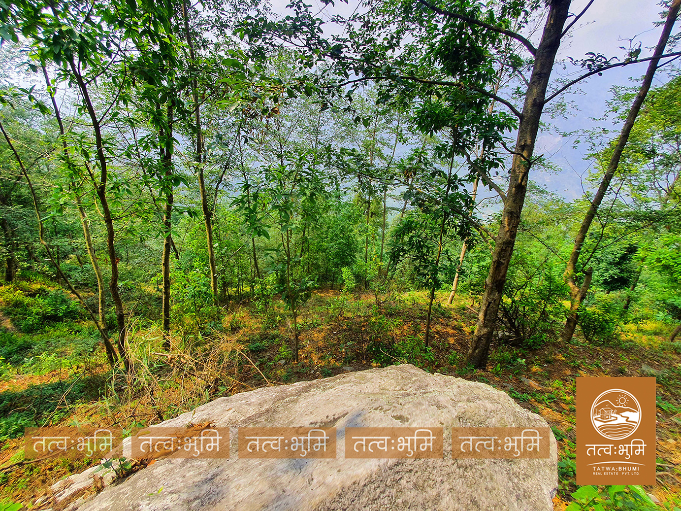 Picture of Shivapuri Rural Municipality, Bagmati
