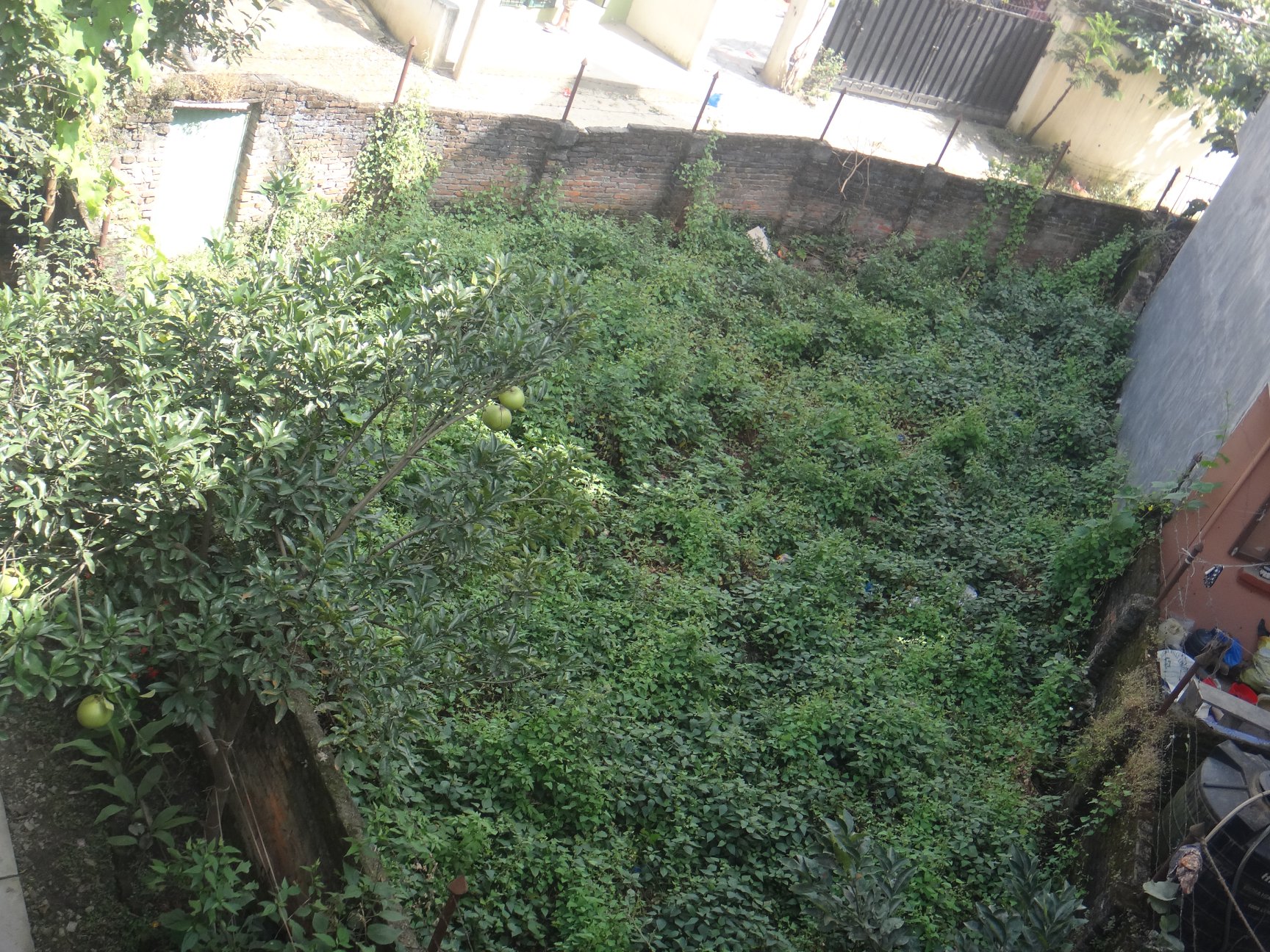Picture of Kathmandu Metropolitan City, Bagmati Province